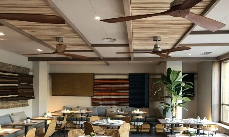 como elegir un ventilador de techo